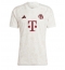 Bayern Munich Third Stadium Replica Jersey 2023-24 Short Sleeves