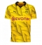 Borussia Dortmund Mats Hummels #15 Third Stadium Replica Jersey 2023-24 Short Sleeves