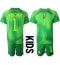 Brazil Alisson Becker #1 Goalkeeper Away Stadium Replica Jersey Kids World Cup 2022 Short Sleeves (+ pants)