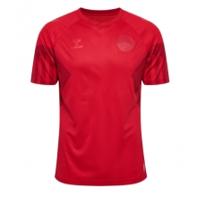 Denmark Home Stadium Replica Jersey World Cup 2022 Short Sleeves