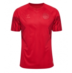 Denmark Home Stadium Replica Jersey World Cup 2022 Short Sleeves