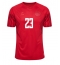 Denmark Pierre-Emile Hojbjerg #23 Home Stadium Replica Jersey World Cup 2022 Short Sleeves