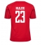 Denmark Pierre-Emile Hojbjerg #23 Home Stadium Replica Jersey World Cup 2022 Short Sleeves