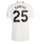 Manchester United Jadon Sancho #25 Third Stadium Replica Jersey 2023-24 Short Sleeves