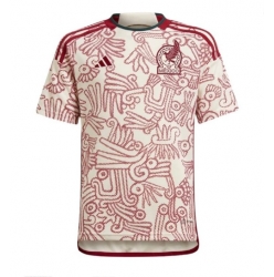 Mexico Away Stadium Replica Jersey World Cup 2022 Short Sleeves