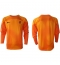 Netherlands Goalkeeper Away Stadium Replica Jersey World Cup 2022 Long Sleeves