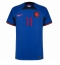 Netherlands Steven Berghuis #11 Away Stadium Replica Jersey World Cup 2022 Short Sleeves