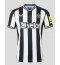 Newcastle United Alexander Isak #14 Home Stadium Replica Jersey 2023-24 Short Sleeves