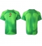 Portugal Goalkeeper Home Stadium Replica Jersey World Cup 2022 Short Sleeves