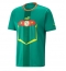 Senegal Away Stadium Replica Jersey World Cup 2022 Short Sleeves