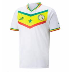 Senegal Home Stadium Replica Jersey World Cup 2022 Short Sleeves