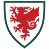 Wales World Cup 2022 Kids