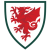 Wales World Cup 2022 Kids